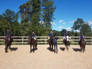 Bronze Pony Club Bronze Pony Club