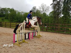 Gold Pony Club Gold Pony Club